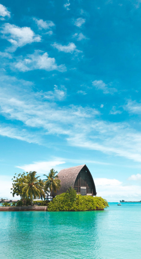 Passion for Travel preview