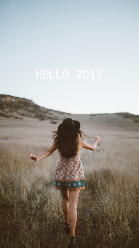 你好2017 (2) preview