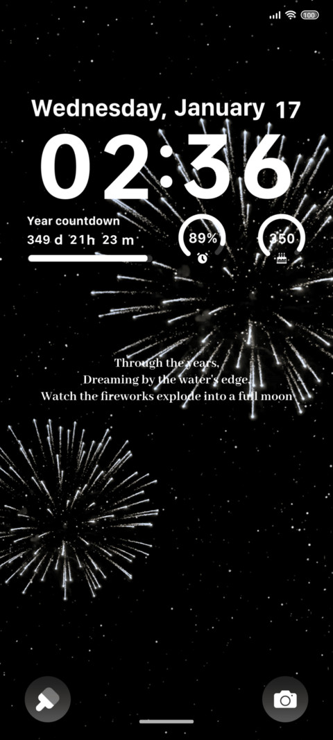 Fireworks preview