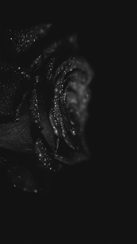 Black and White Photography Art preview