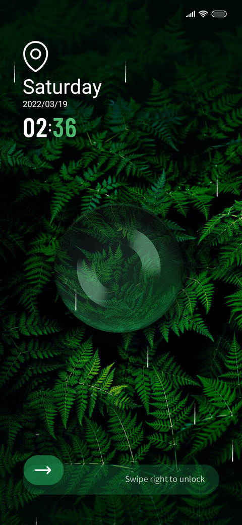 Forest preview