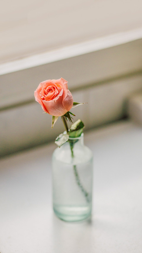 Artistic still life photography preview