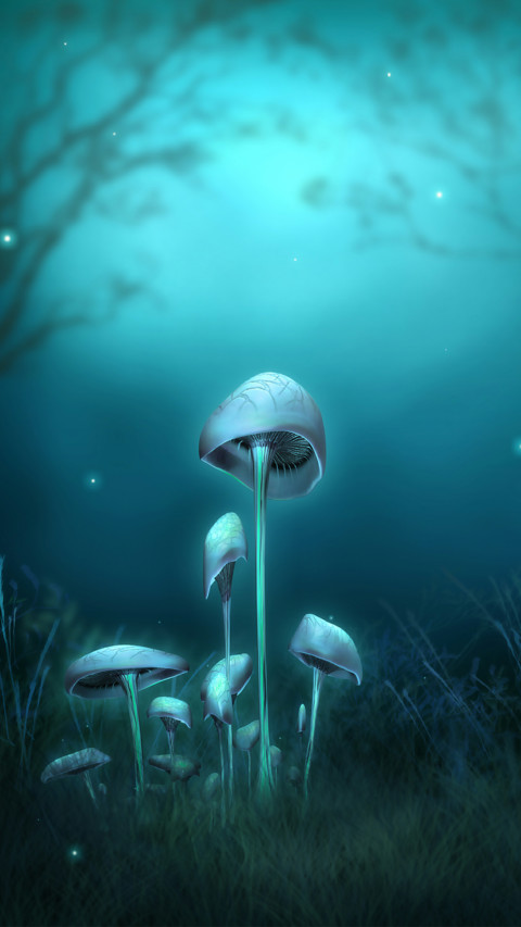 梦幻OS preview