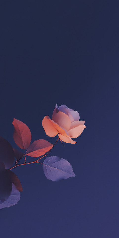 Silhouette6.jpg preview