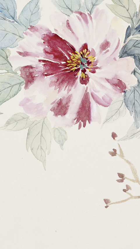 宋秦晋的花朵世界 preview