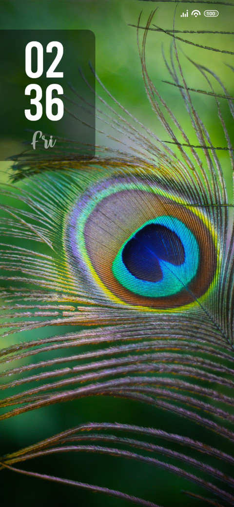 Peacock Feather preview