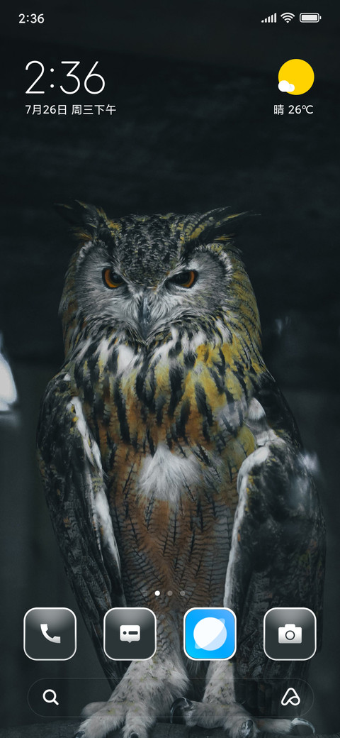Owl Dark preview