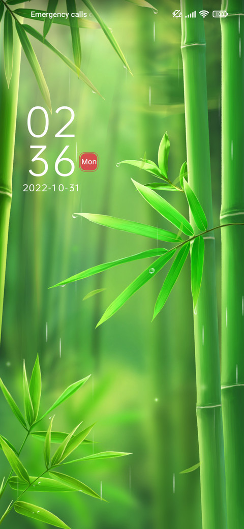 Zen+green+bamboo preview