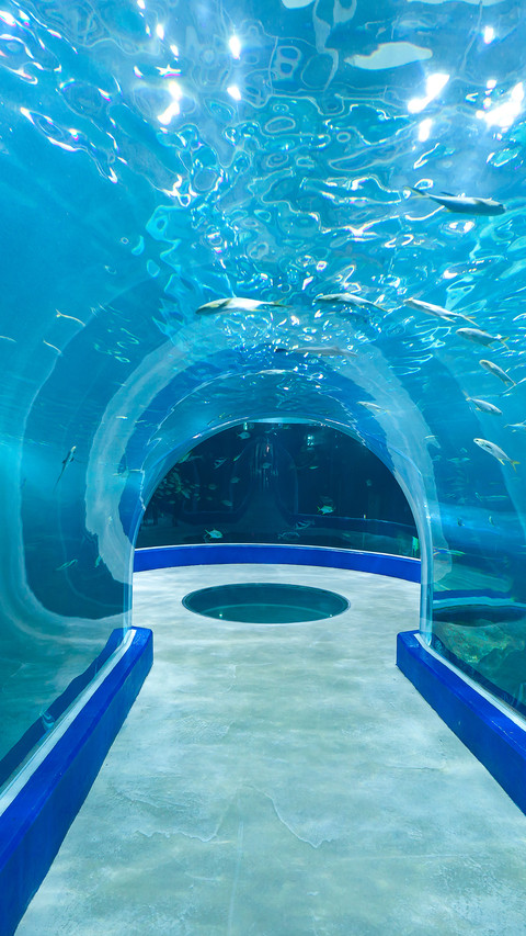 International-Aquarium preview