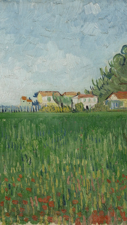 FieldwithPoppiesNearArles preview