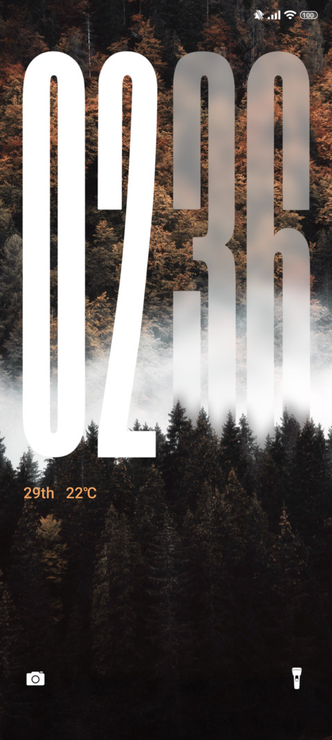 Autumn pine forest preview