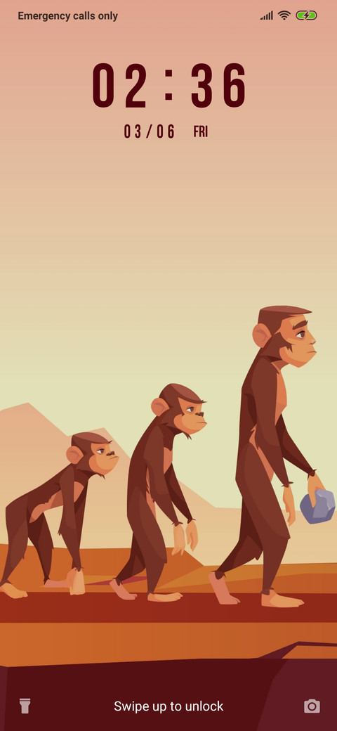 Evolution_3MDP preview