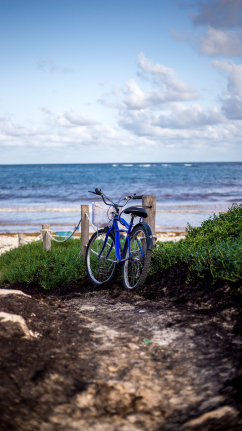 Bicycle (5) preview