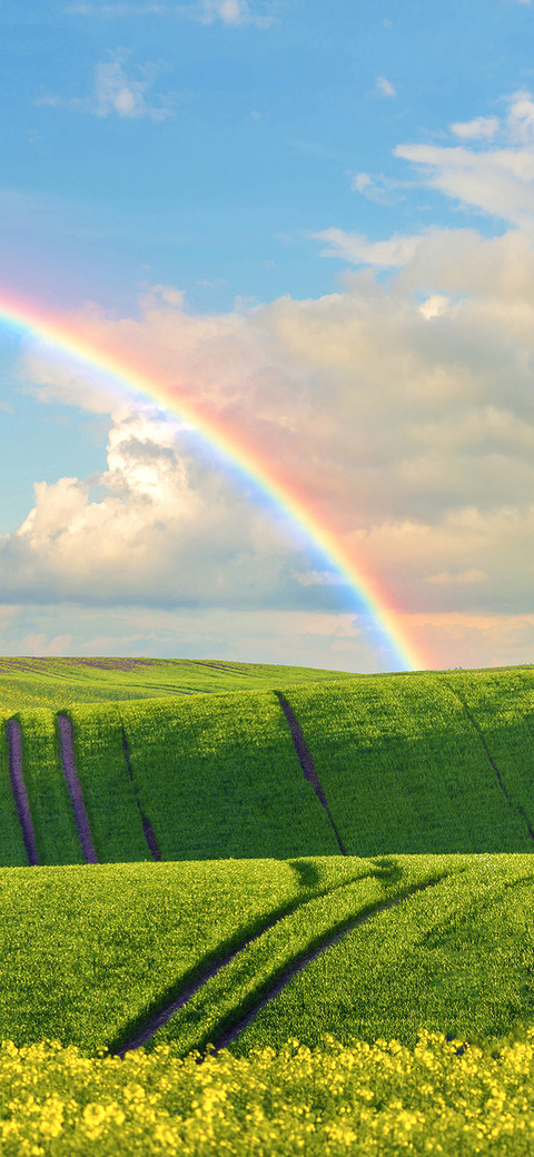 Lucky rainbow-PAIXIN preview