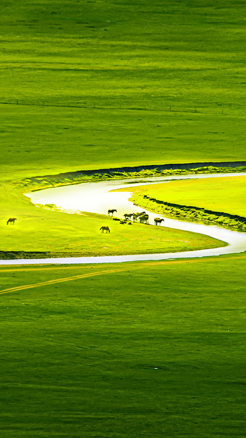 Green represents the flowing vitality preview