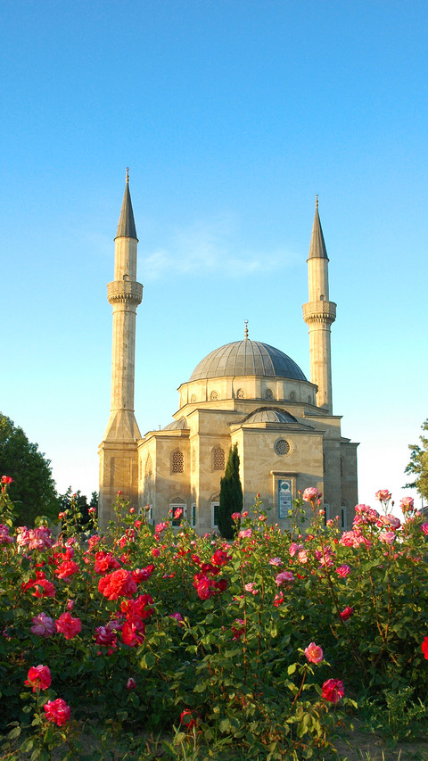 Romantic Turkey preview