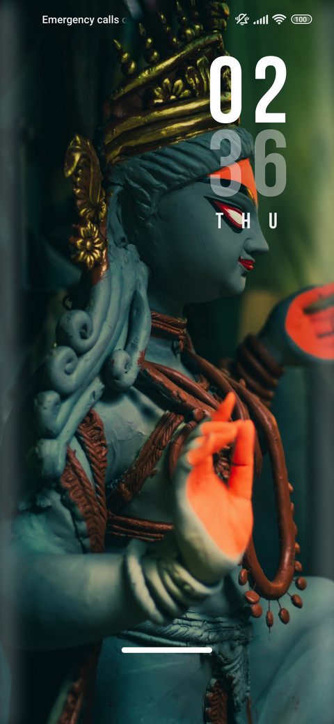 Navratri_color preview