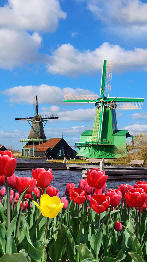 Windmill preview
