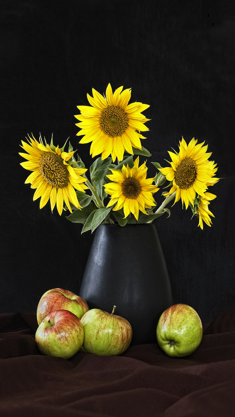 How does the sunflower turn at night 53 preview