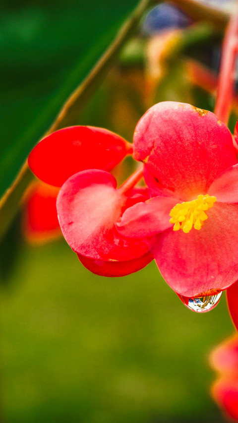 landing-0261 preview