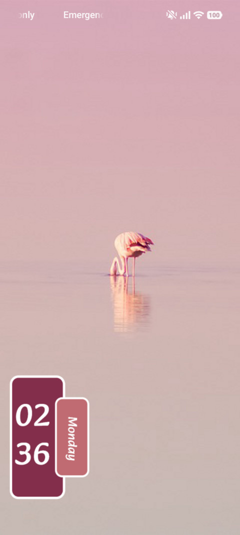 Pink Drift preview
