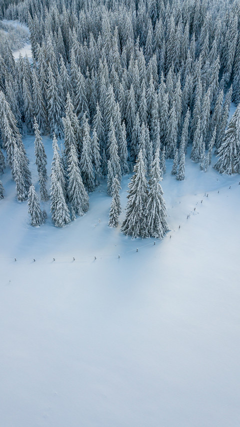 Winter beauty preview