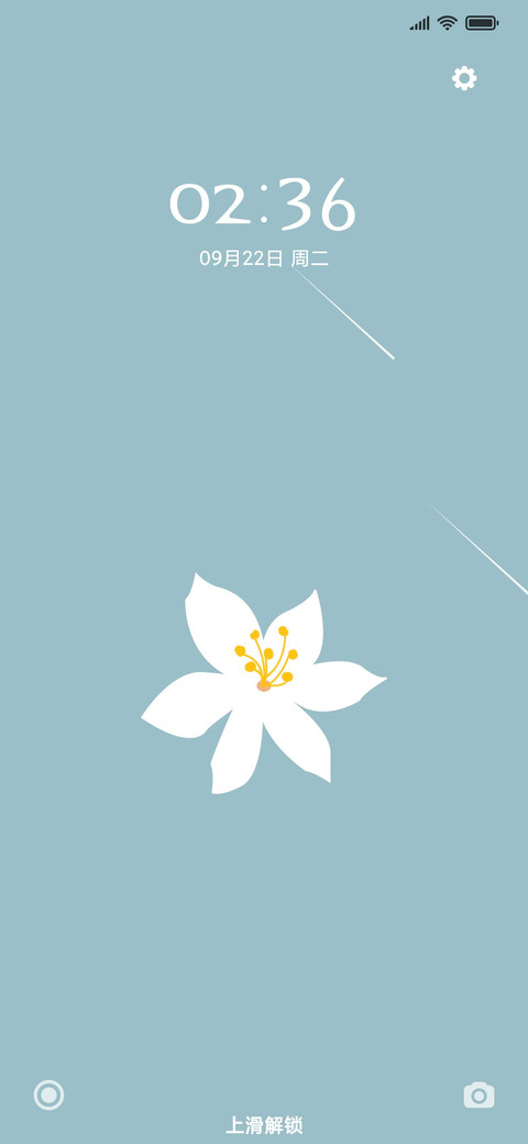 小花 preview