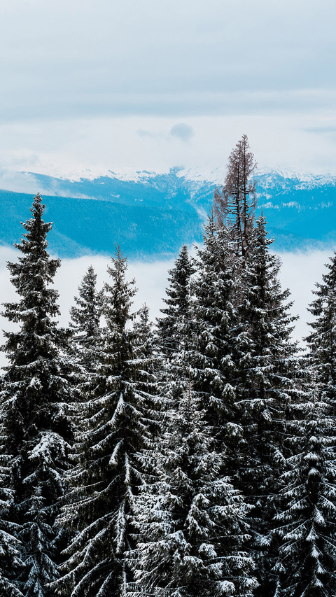 Winter scenery-06 preview