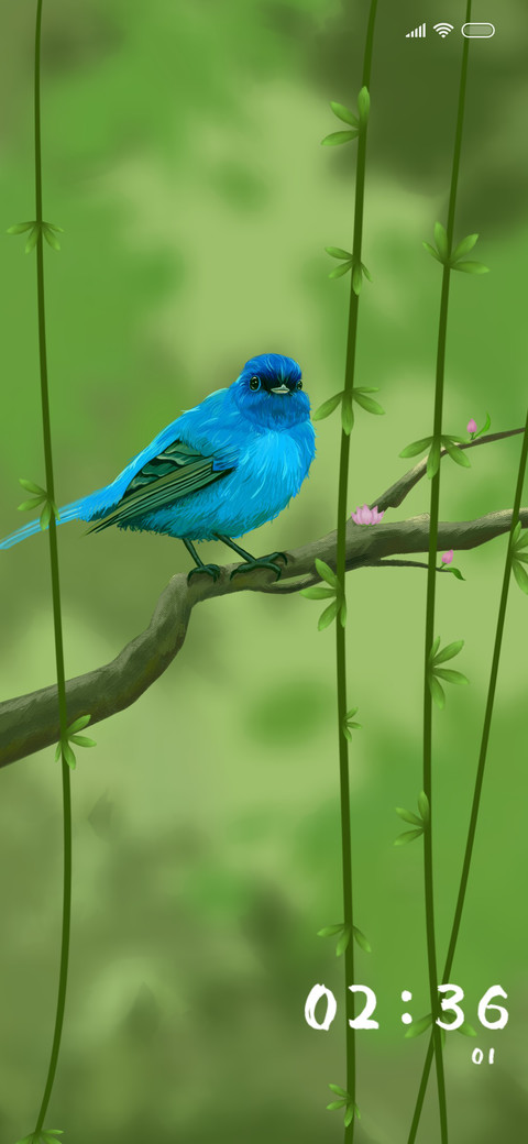 Bird's Nest preview