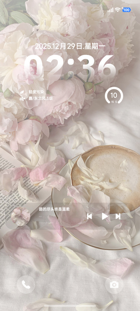 ins清新粉 preview