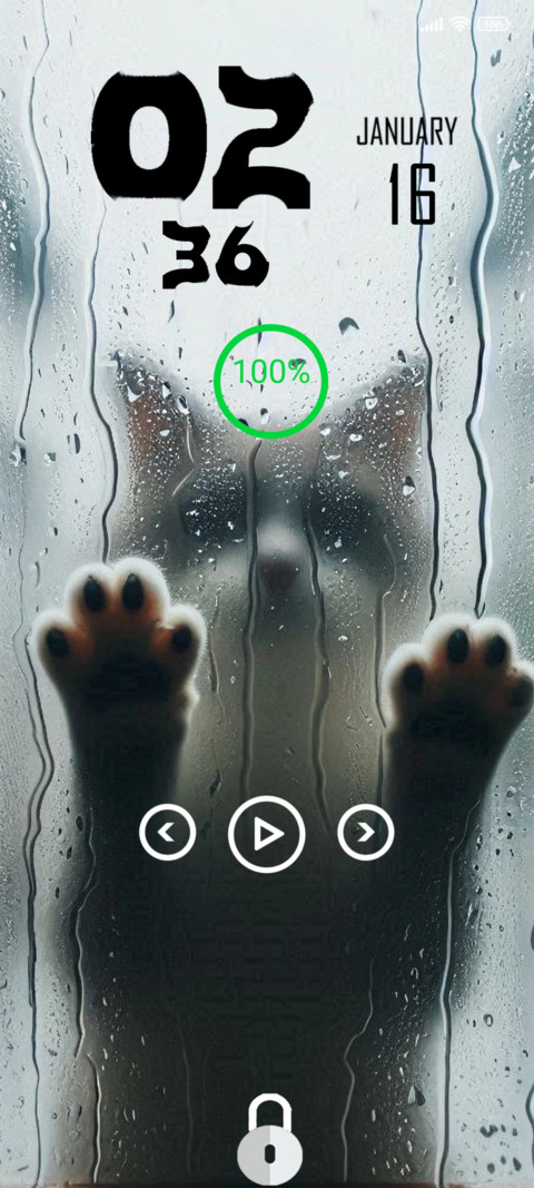 Rain cat preview