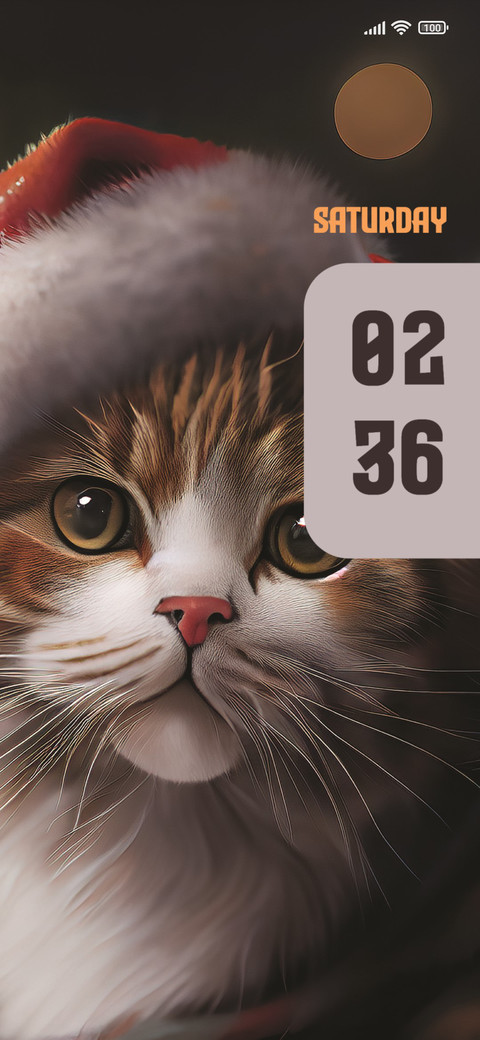 Cat preview