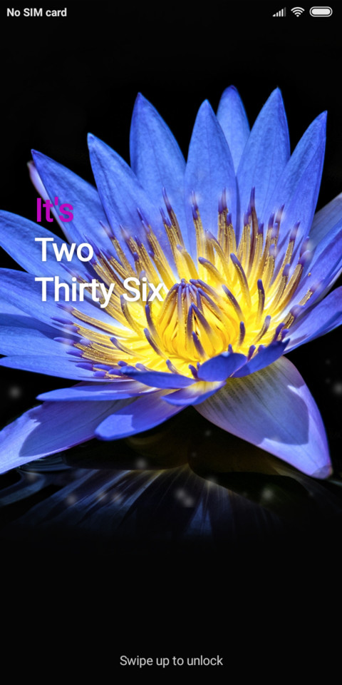 Flower_DWM19 preview
