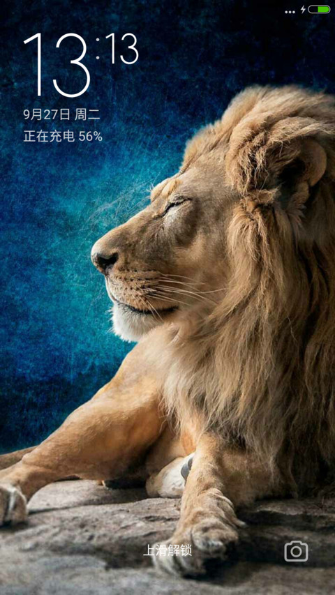 Lion preview