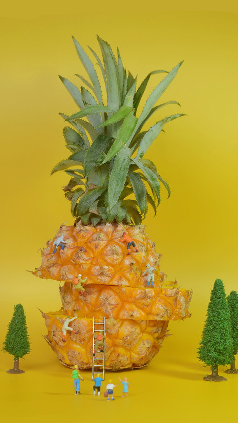The difference between pineapple and pineapple preview