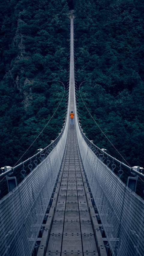 Cable-stayed bridge over Mount Hunsrück preview