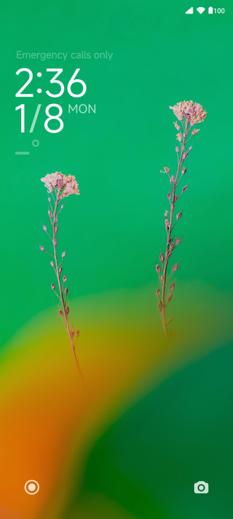 Flat Green preview