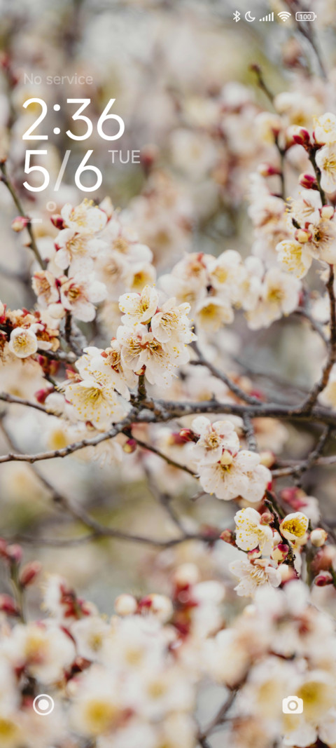 White Flowers preview