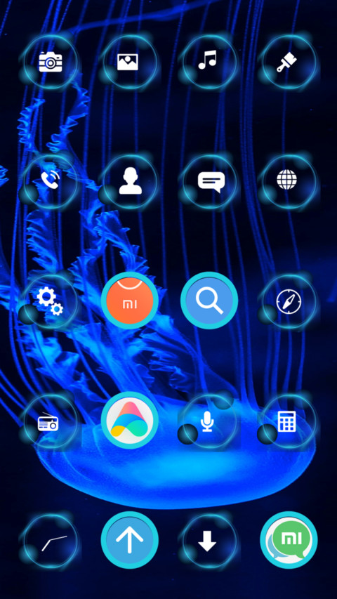 JellyFish_3MDP preview