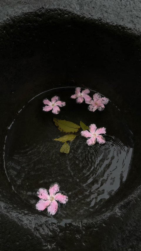 花事闲情 preview