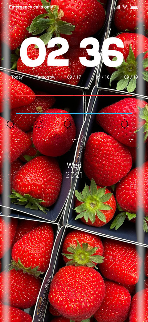 Red Strawberry preview