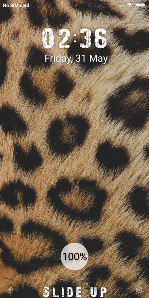 Skin_DWM19 preview