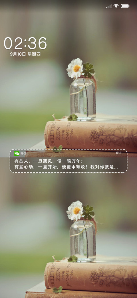 安好雏菊 preview