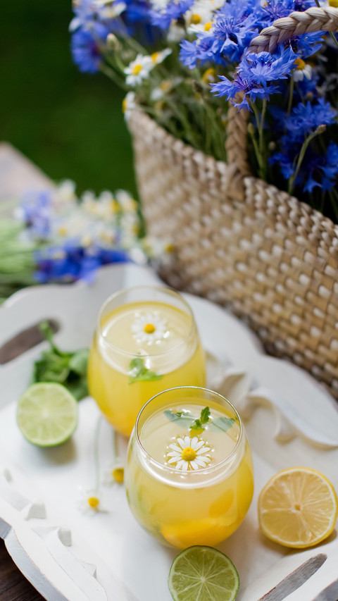Glasses with Lemonade with Mint, Lime, Lemons and Orange preview
