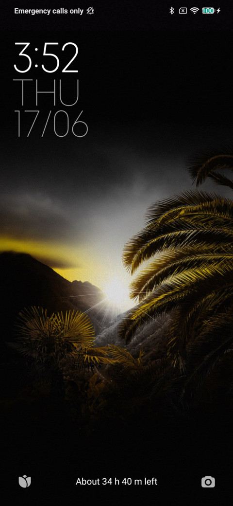Jungle preview