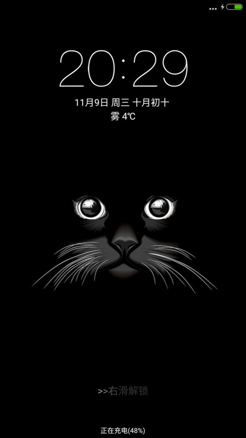 黑cat preview