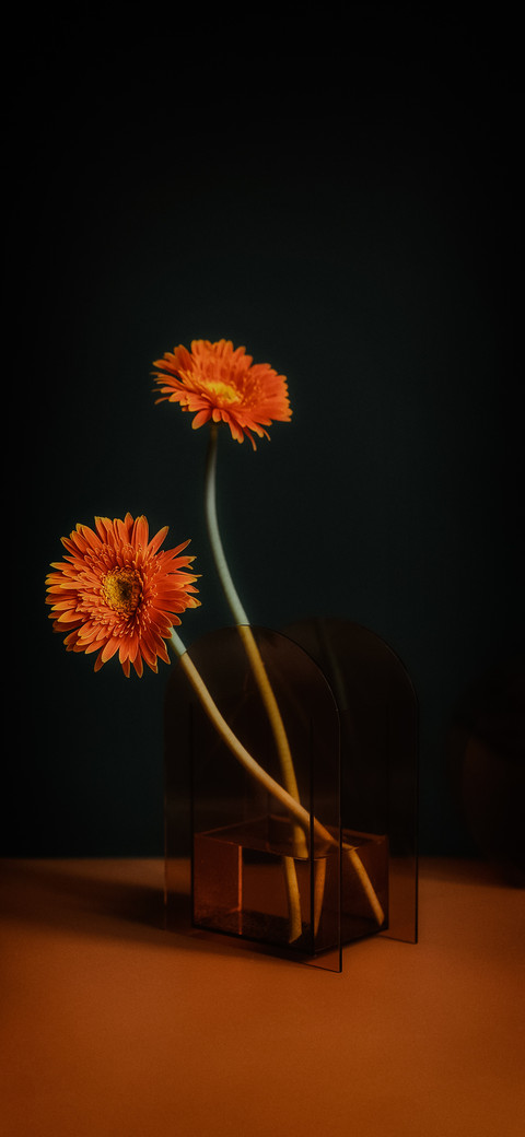 花事 preview