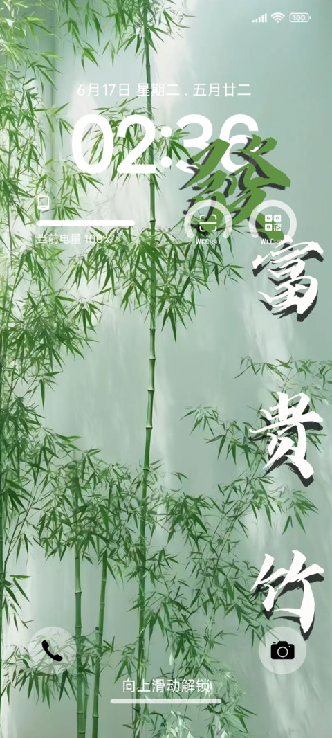 富贵竹X preview