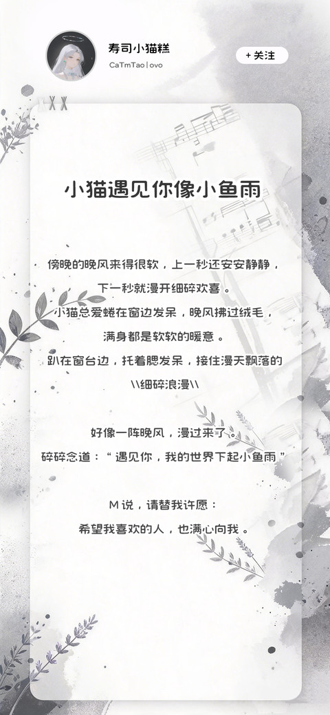小猫遇见你像小鱼雨 preview