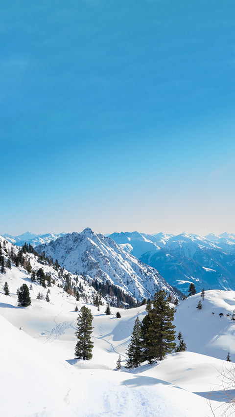 Overlooking the snow-capped mountains preview